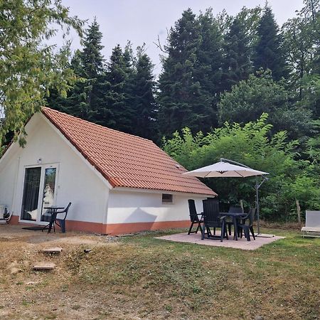 Mon Chalet En Ariege Avec Piscine Daumazan-sur-Arize Екстер'єр фото