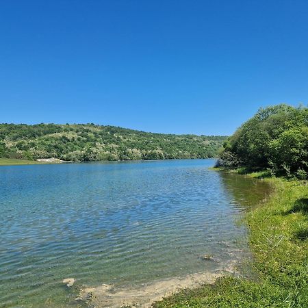 Mon Chalet En Ariege Avec Piscine Daumazan-sur-Arize Екстер'єр фото
