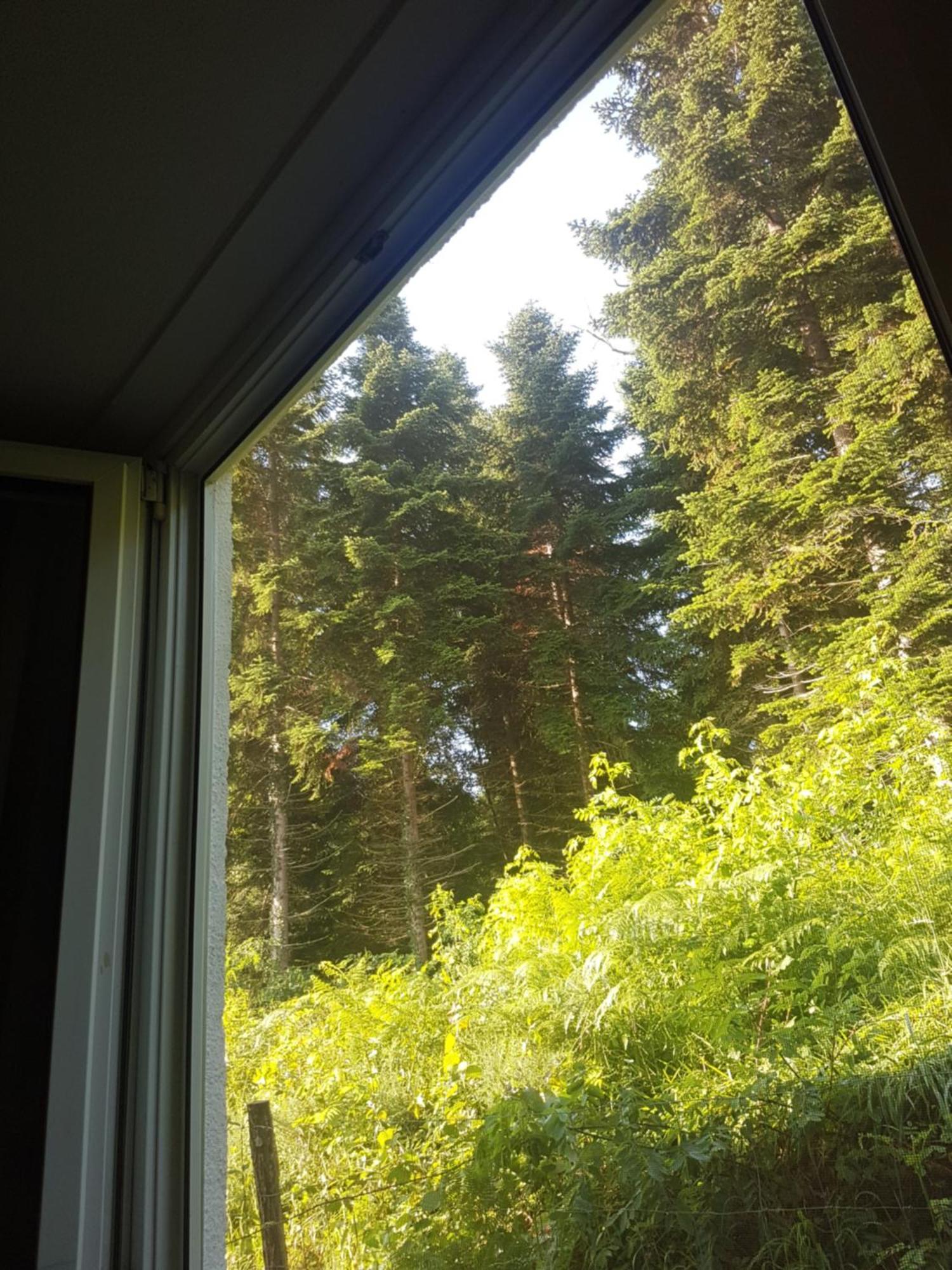 Mon Chalet En Ariege Avec Piscine Daumazan-sur-Arize Екстер'єр фото